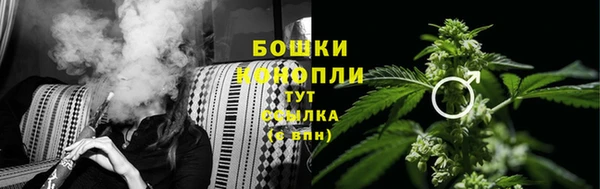 крисы Абдулино