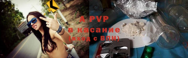 мет Алексин