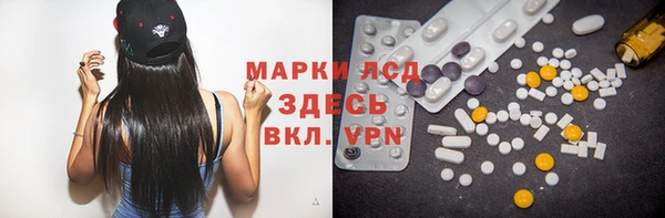 индика Абаза