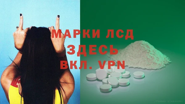 индика Абаза