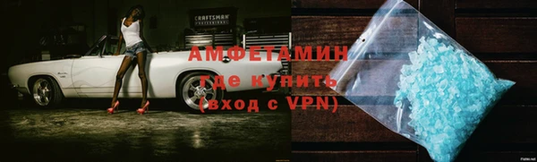 индика Абаза