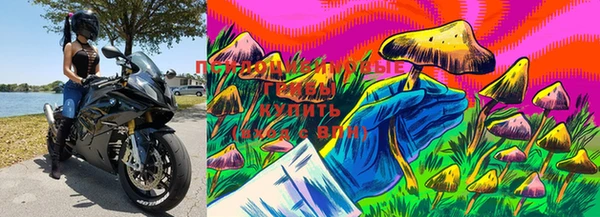 марки lsd Абинск