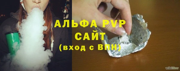 индика Абаза