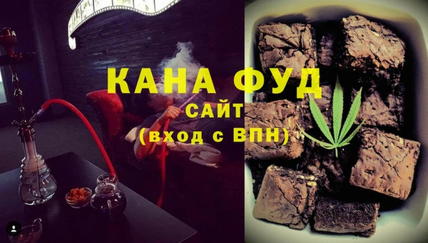 индика Абаза