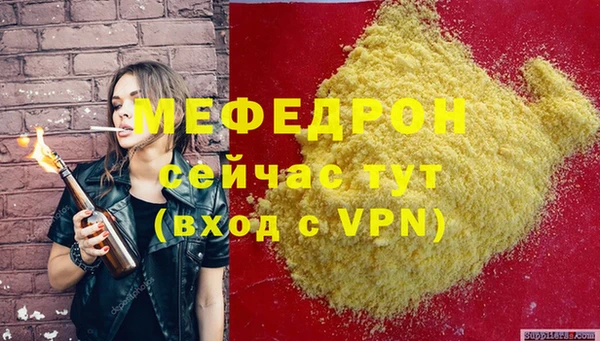 индика Абаза