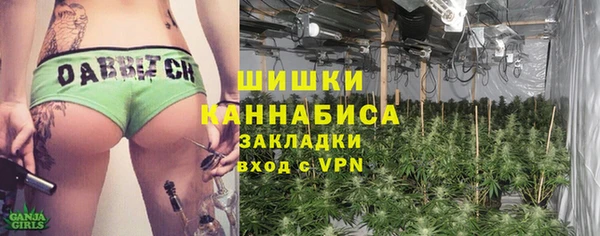 индика Абаза