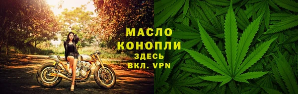 крисы Абдулино